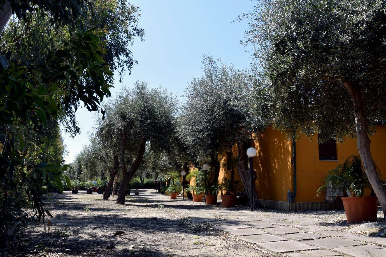 Riviera Degli Eucalipti - Cottage In Riva Al Mare Ачиреале Екстер'єр фото