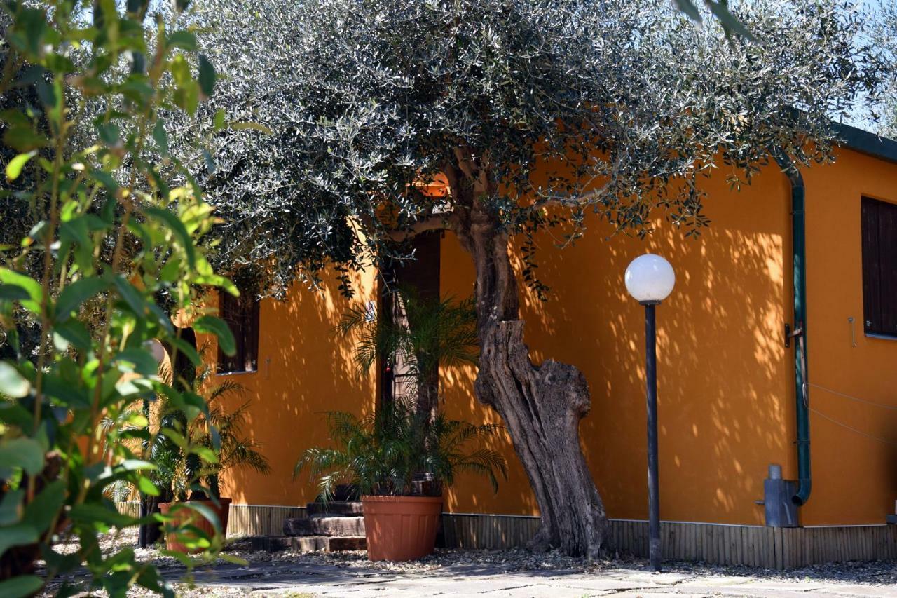 Riviera Degli Eucalipti - Cottage In Riva Al Mare Ачиреале Екстер'єр фото